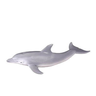BOTTLENOSE DOLPHIN