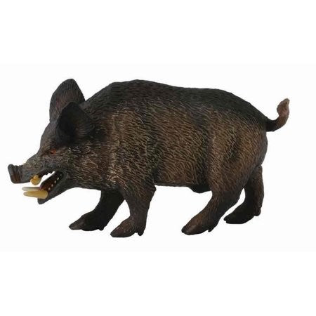 WILD BOAR