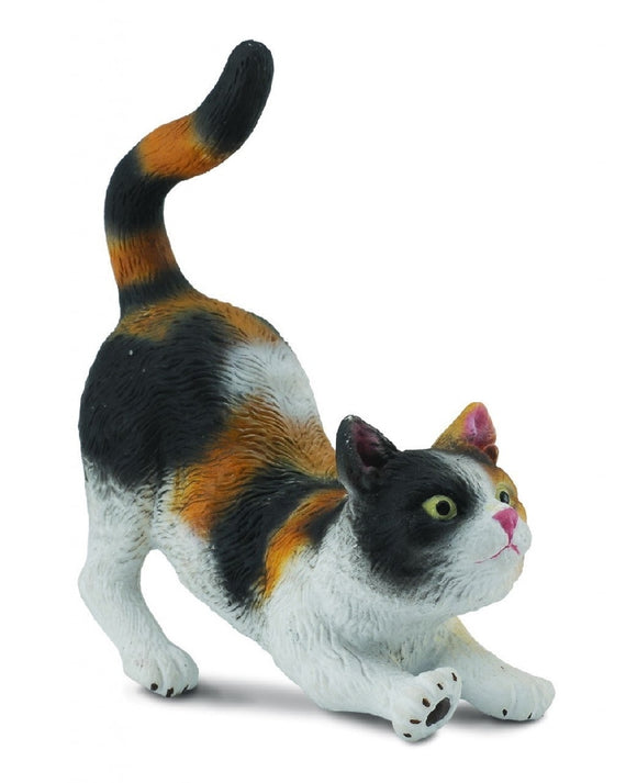 CAT MOGGY STRETCHING S
