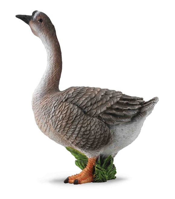 GOOSE