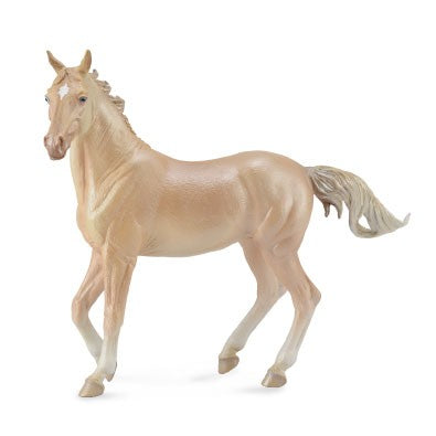 AKHAL-TEKE MARE PERLINO