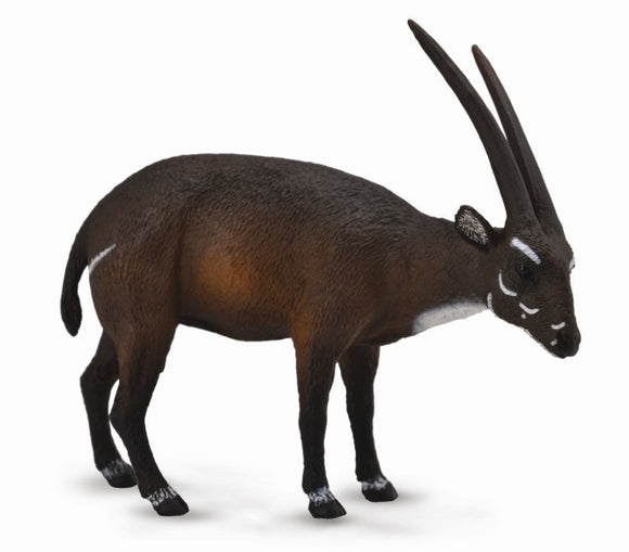 SAOLA