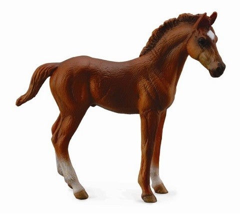 THOROUGHBRED FOAL STAND CHESTNUT
