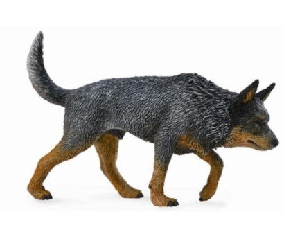 AUSTRALIAN CATTLE DOG