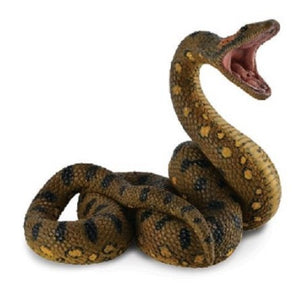 GREEN ANACONDA