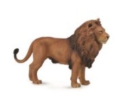AFRICAN LION L