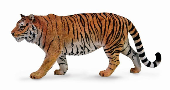 SIBERIAN TIGER XL