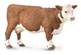 HEREFORD COW-L
