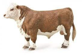 HEREFORD BULL POLLED-L