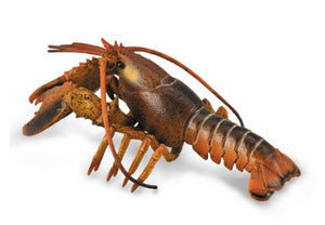 LOBSTER DLX