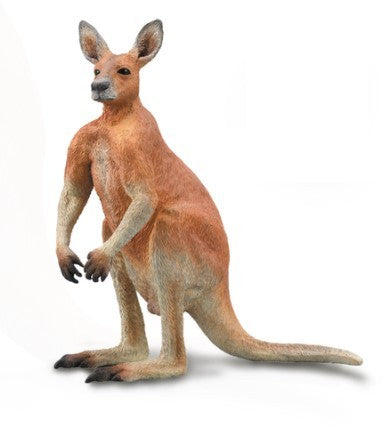 RED KANGAROO MALE L