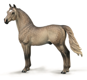 MORGAN STALLION SILVER GRULLA XL