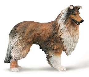 ROUGH COLLIE L