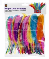 QUILL FEATHERS EC 60GM BRIGHTS