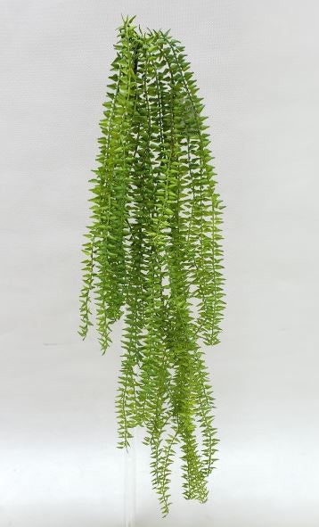 86CM HUPEERZIA PLANT BUSH