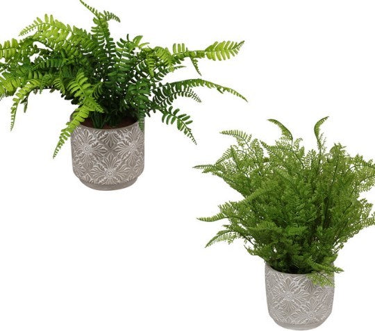 FERN IN MANDALA POT 45CM