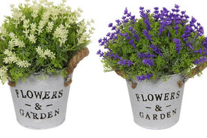 POTTED FLOWERE W/ROPE HANDLE ASST