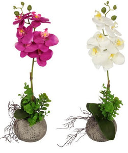 54CM ORCHID PLANT IN MOROCCAN POT