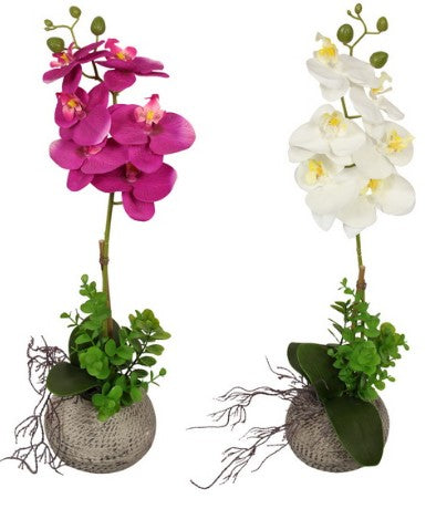 54CM ORCHID PLANT IN MOROCCAN POT