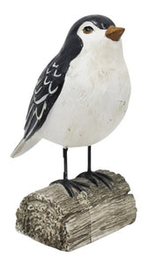 BIRD ON HALF STUMP