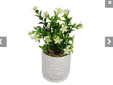 FLOWER IN WHITE DECOR POT 30CM